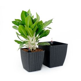 2-Pack Self-watering Planter - Hand Woven Wicker