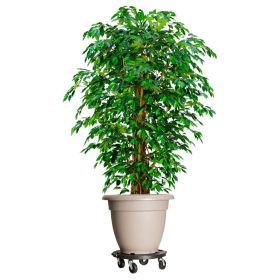 Plant Trolleys with Wheels 2 pcs Diameter 15.7" Black