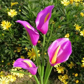 LED Calla Lily Flower Stake Light Solar Energy Rechargeable for Outdoor Garden Patio (Color: purple)